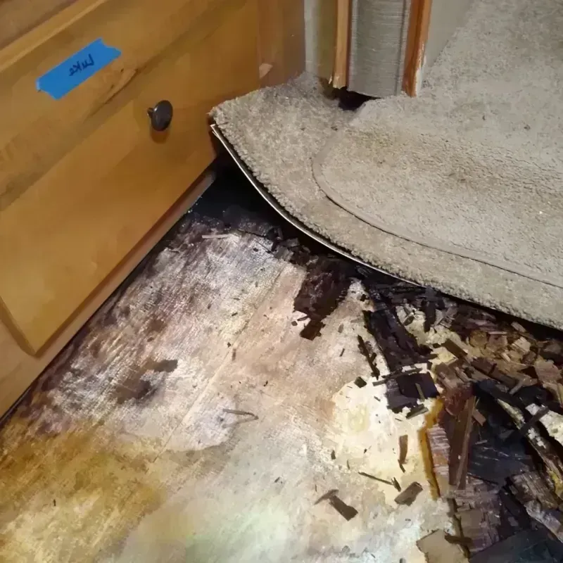 Wood Floor Water Damage in Alva, FL